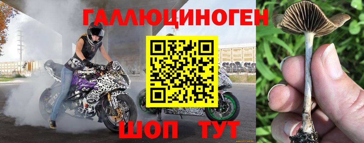Галлюциногенные грибы прущие грибы Вятские Поляны